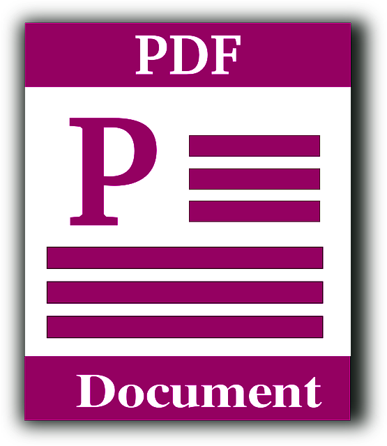 pdf-statut-razem